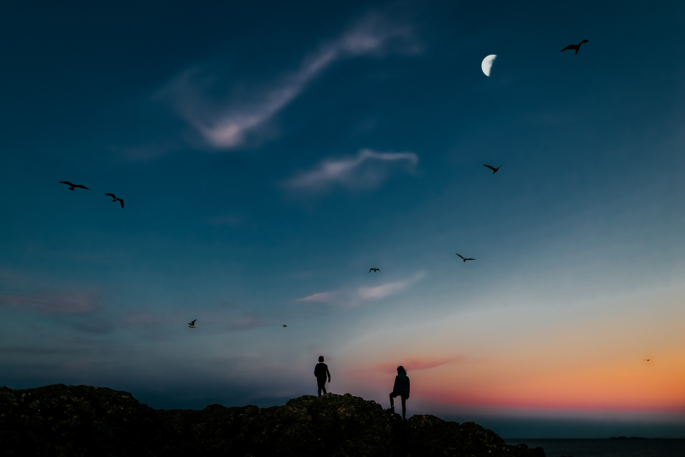 A Daily Occurrence: Creative Everyday Photography
