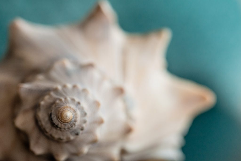 Macro Style