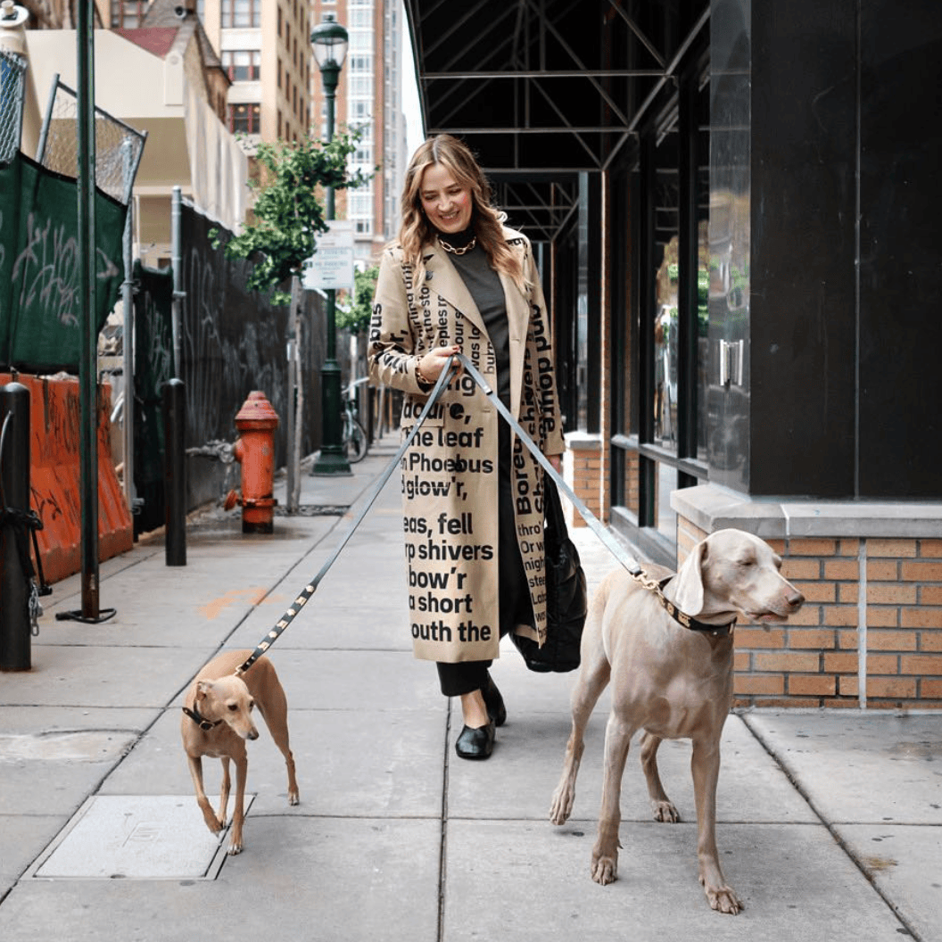 Screenshot 2026-02-28 at 12.27.31 AM