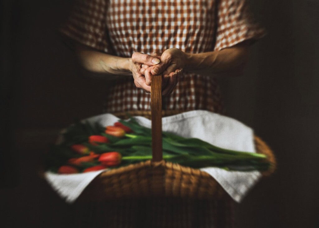 The Digital Darkroom: Transformative Editing for Photographers