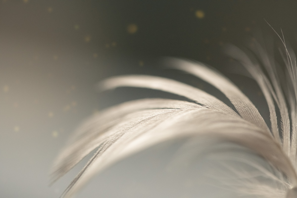 Macro Style