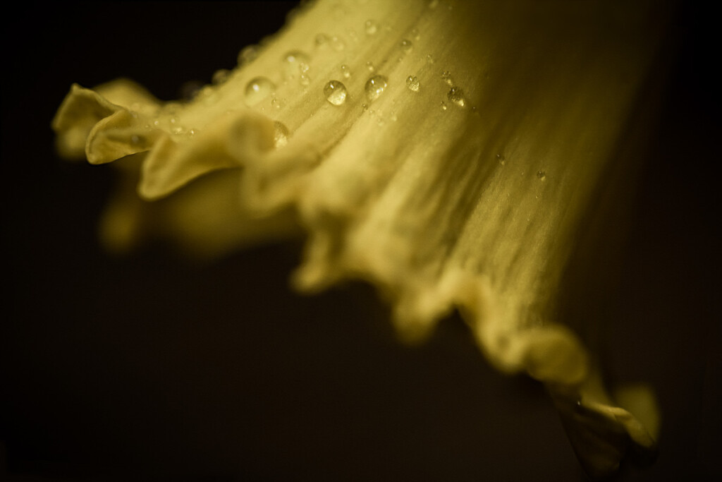 Macro Style