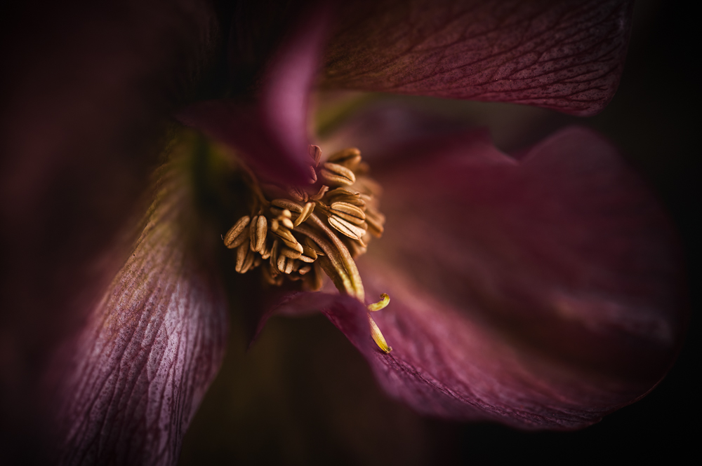 sue bahen click photo school everyday beauty