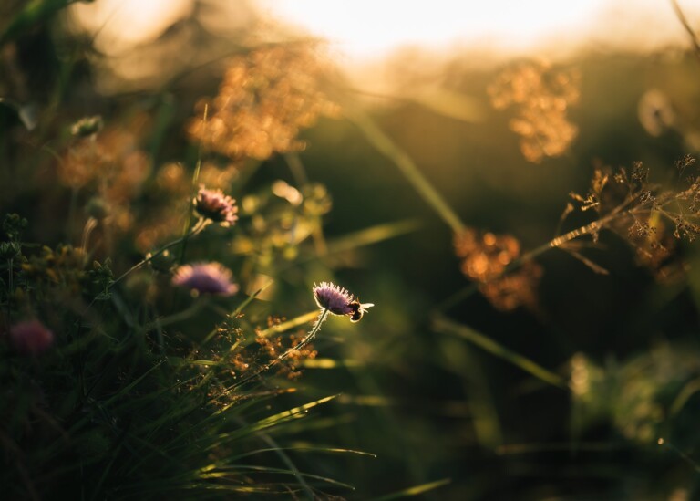 Magical Light: A Comprehensive Guide to Backlight