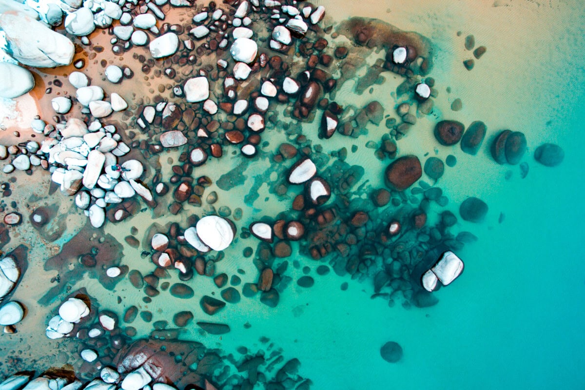 Drone_Gallery-1 longnecker