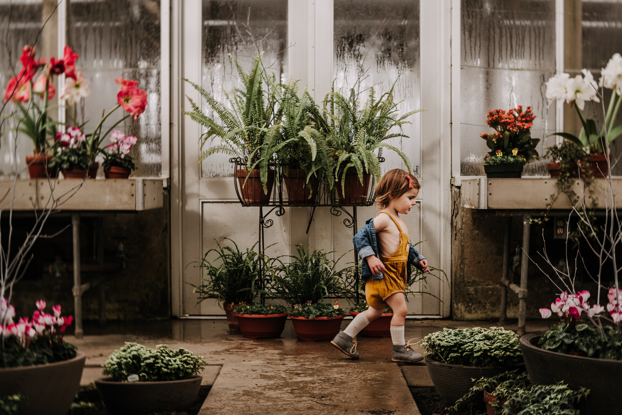 Bring It to Light: Conquering Natural Light in Your Photographs
