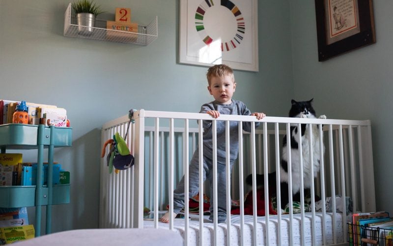 The Purposefully Part-Time Business Plan