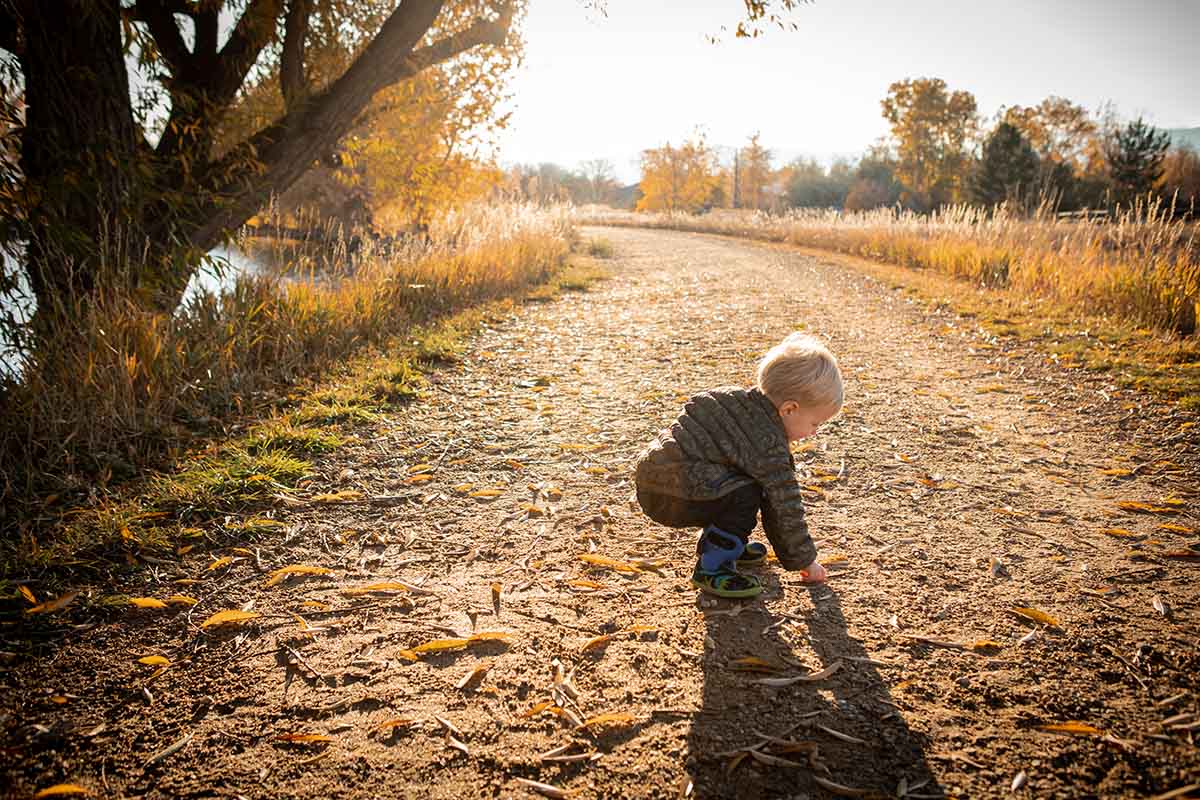The Ultimate Guide to Profitable Mini Sessions