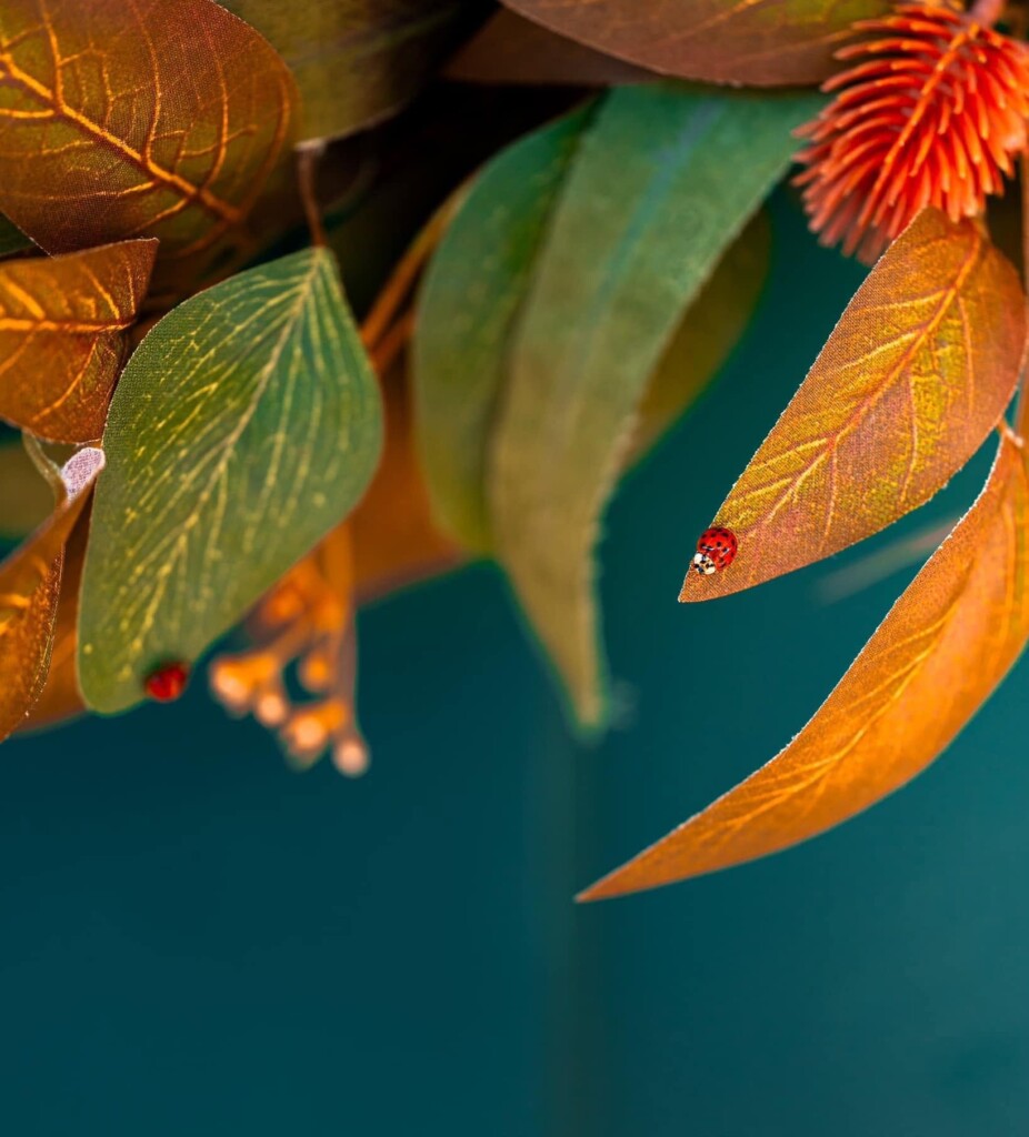 Click Photo School Katharine Vogel Color and Composition self-paced photography class