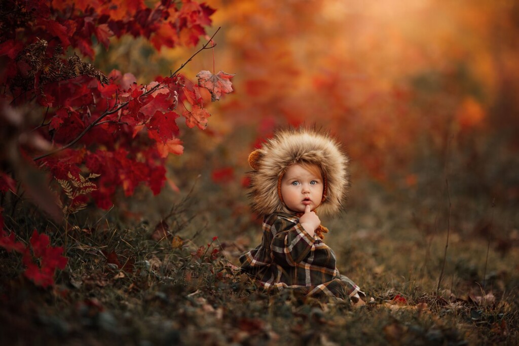 The Ultimate Guide to Photo Editing